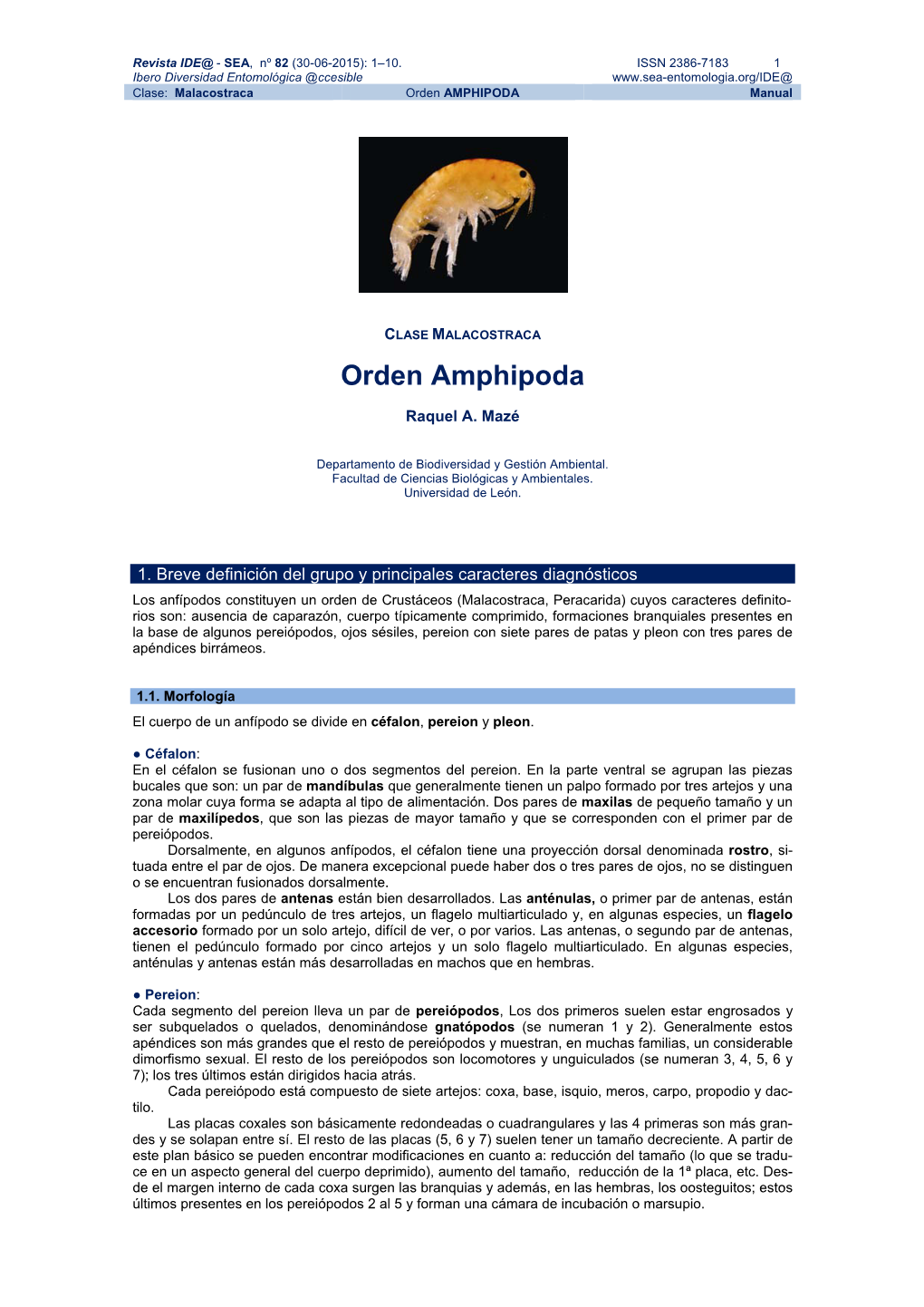 Orden AMPHIPODA Manual
