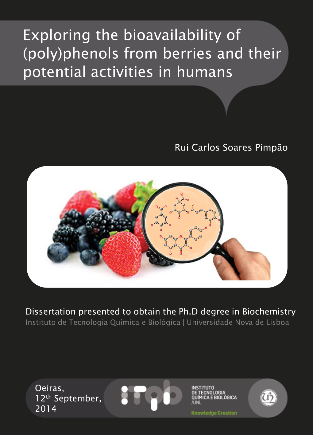 (Poly)Phenols from Berries and Their Potential Activities in Humans
