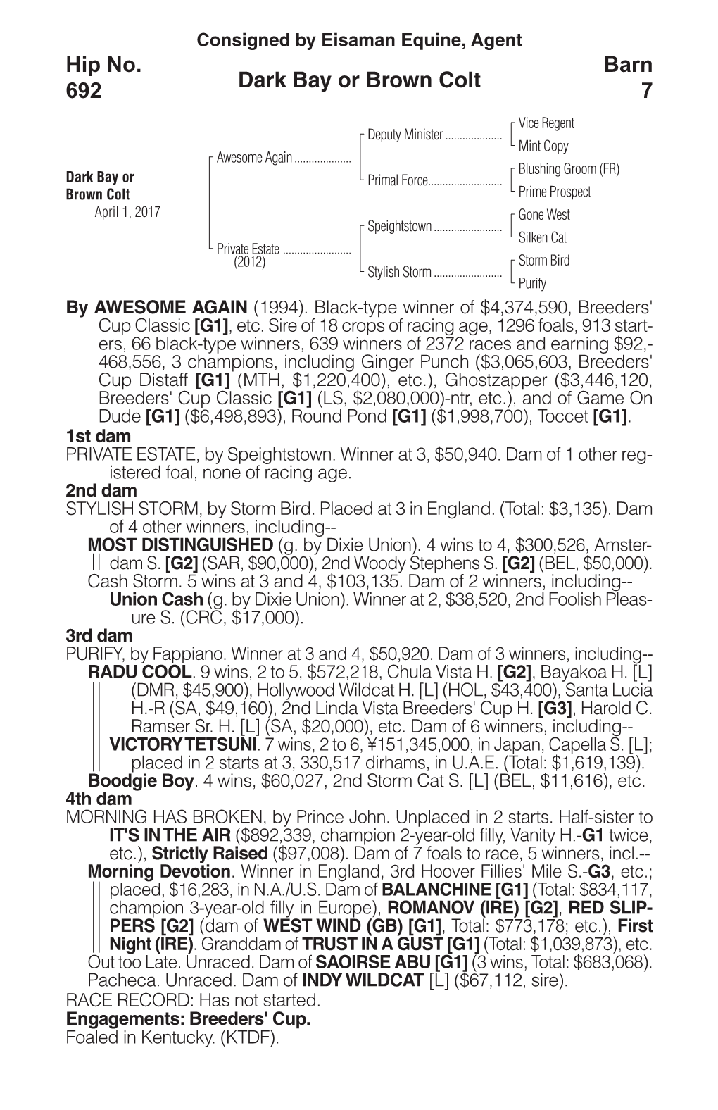 Dark Bay Or Brown Colt Barn 7 Hip No