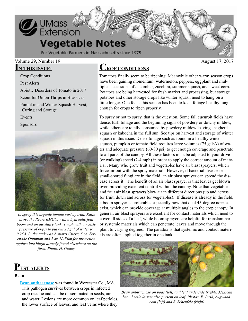 Volume 29, Number 19 August 17, 2017 in THIS ISSUE: CROP CONDITIONS Crop Conditions Tomatoes Finally Seem to Be Ripening