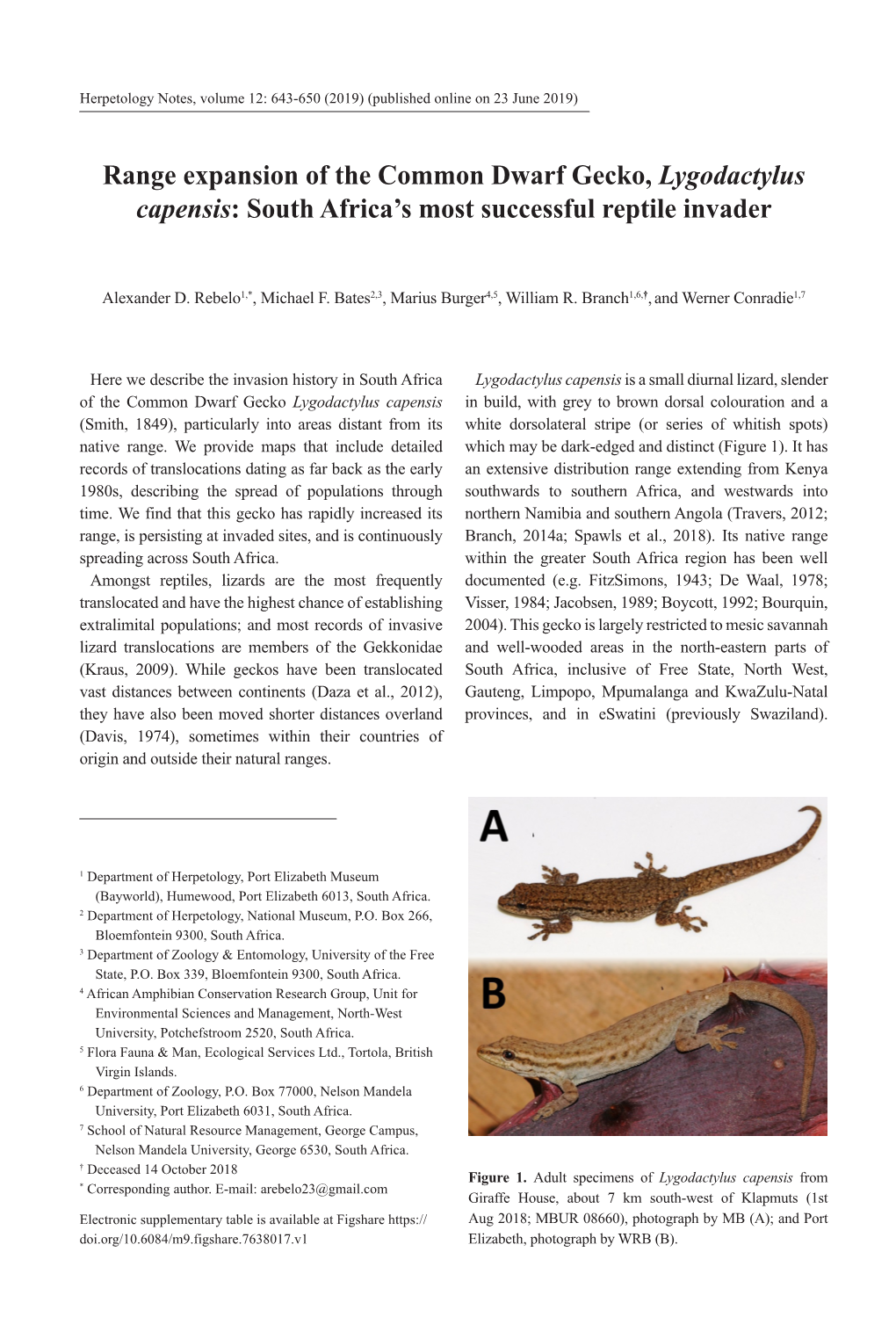 Range Expansion of the Common Dwarf Gecko, Lygodactylus Capensis: South Africa’S Most Successful Reptile Invader