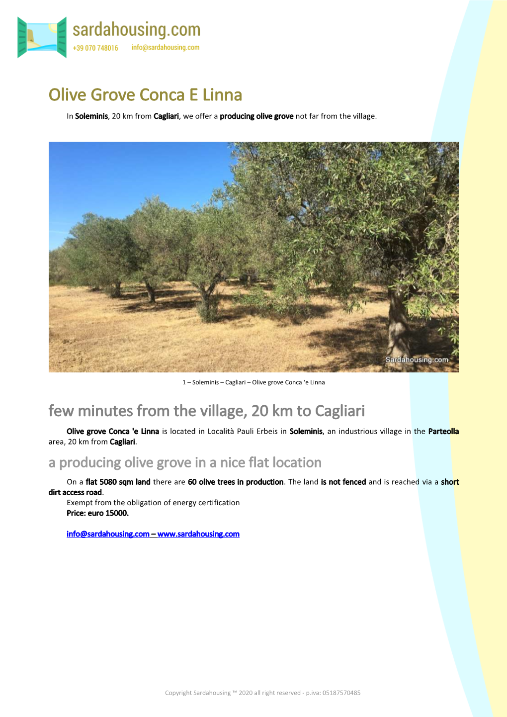 Olive Grove Conca E Linna for Sale in Soleminis Sardinia,Sardahousing