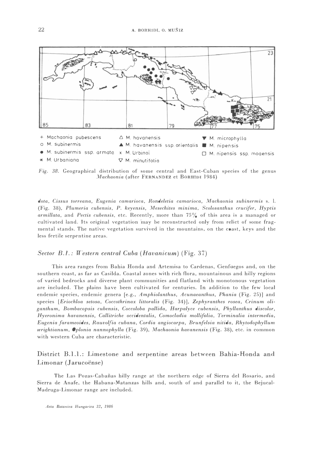 (Fig. 38), Plumeria Cubensis, P