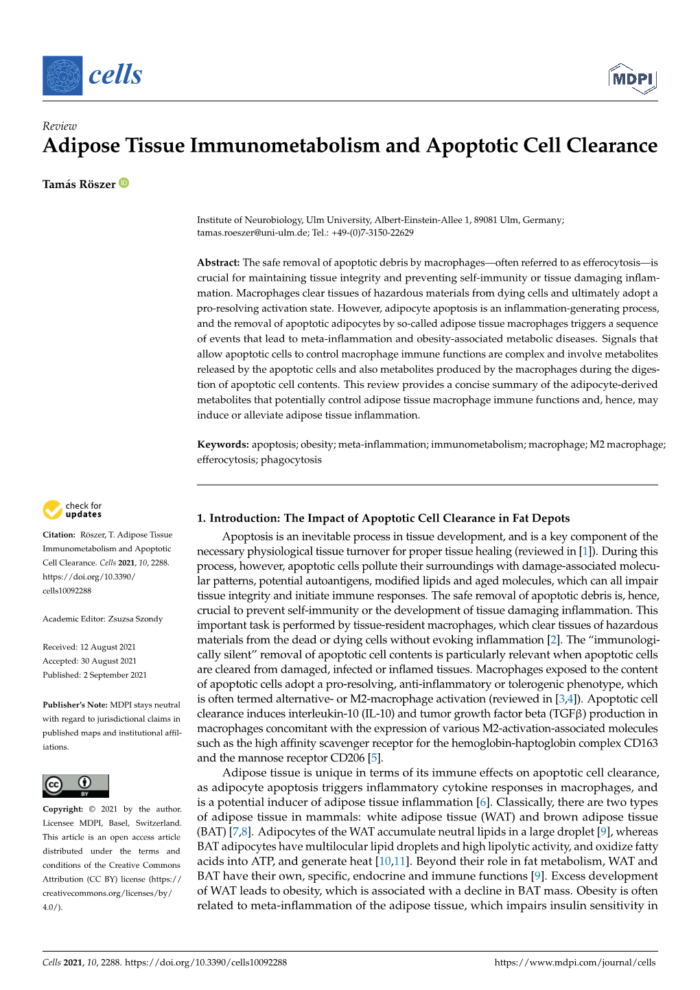 Adipose Tissue Immunometabolism and Apoptotic Cell Clearance