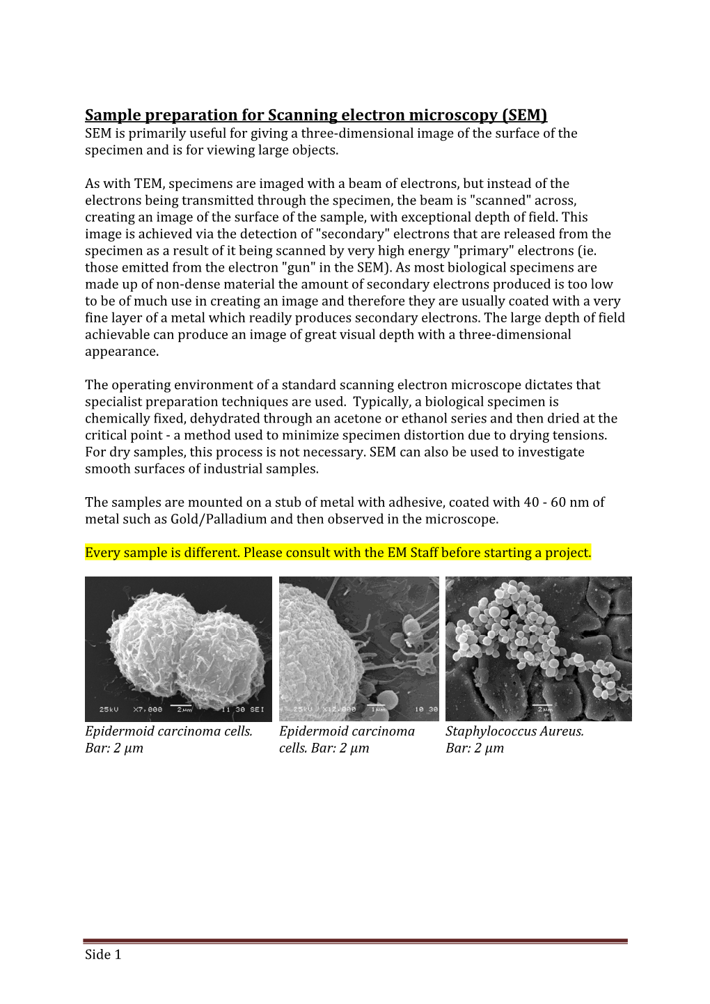 Sample Preparation for Scanning Electron Microscopy (SEM)