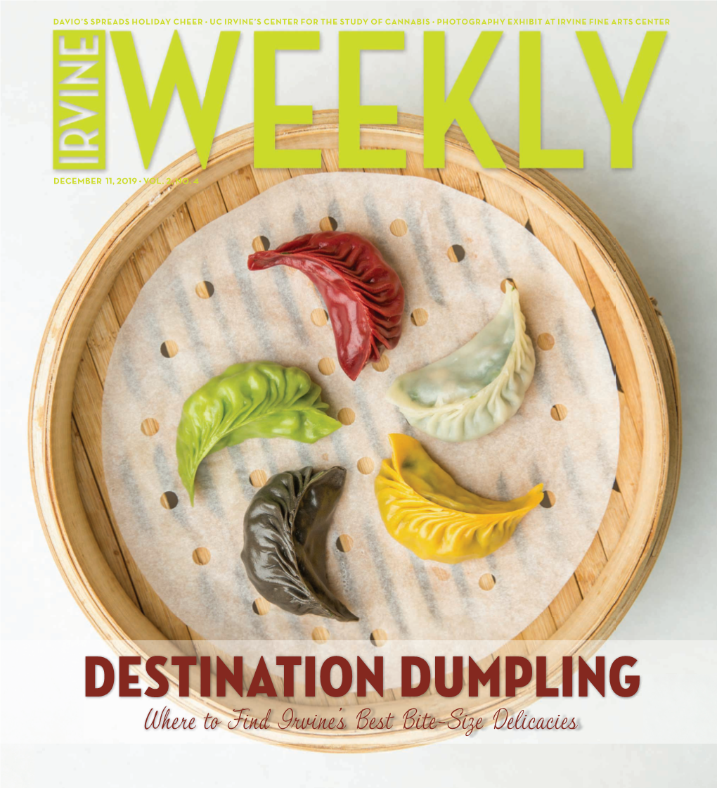 Destination Dumpling Where to Find Irvine’S Best Bite-Size Delicacies