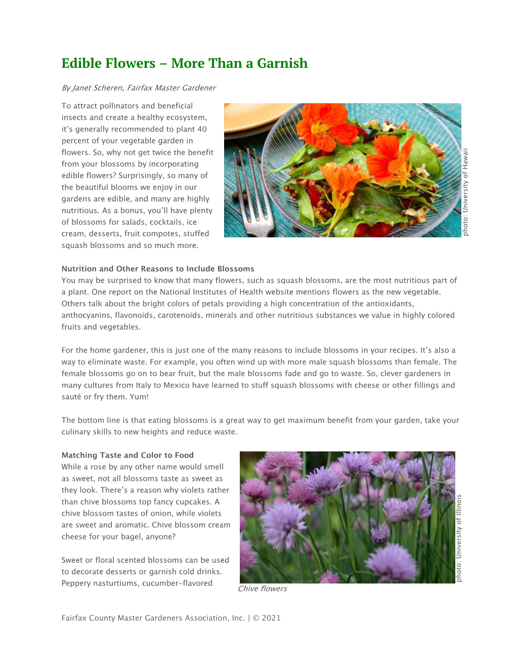 Edible Flowers – More Than a Garnish