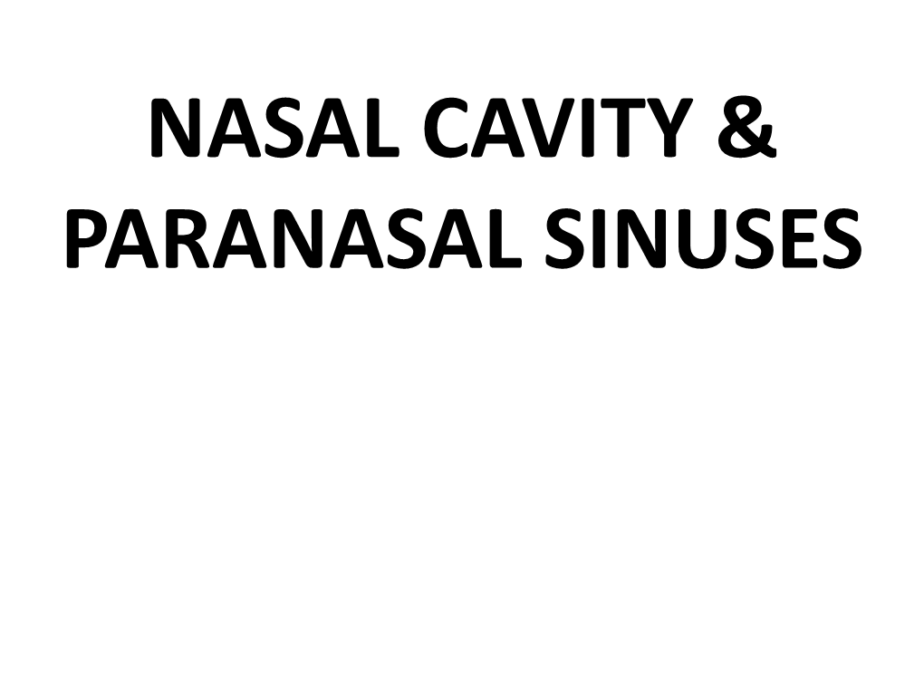 Nasal Cavity & Paranasal Sinuses