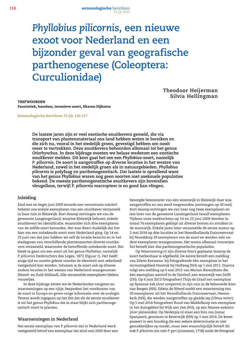 Phyllobius Pilicornis, Een Nieuwe Exoot Voor Nederland En Een Bijzonder Geval Van Geografische Parthenogenese (Coleoptera: Curculionidae)