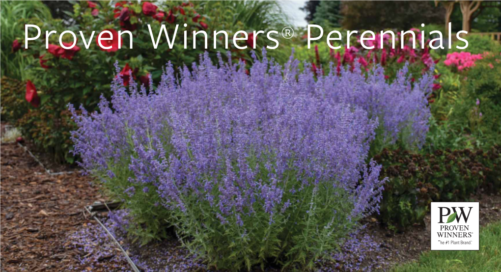 Proven Winners® Perennials Every Proven Winners® Perennial on One Page 2019 2020 2019 2020
