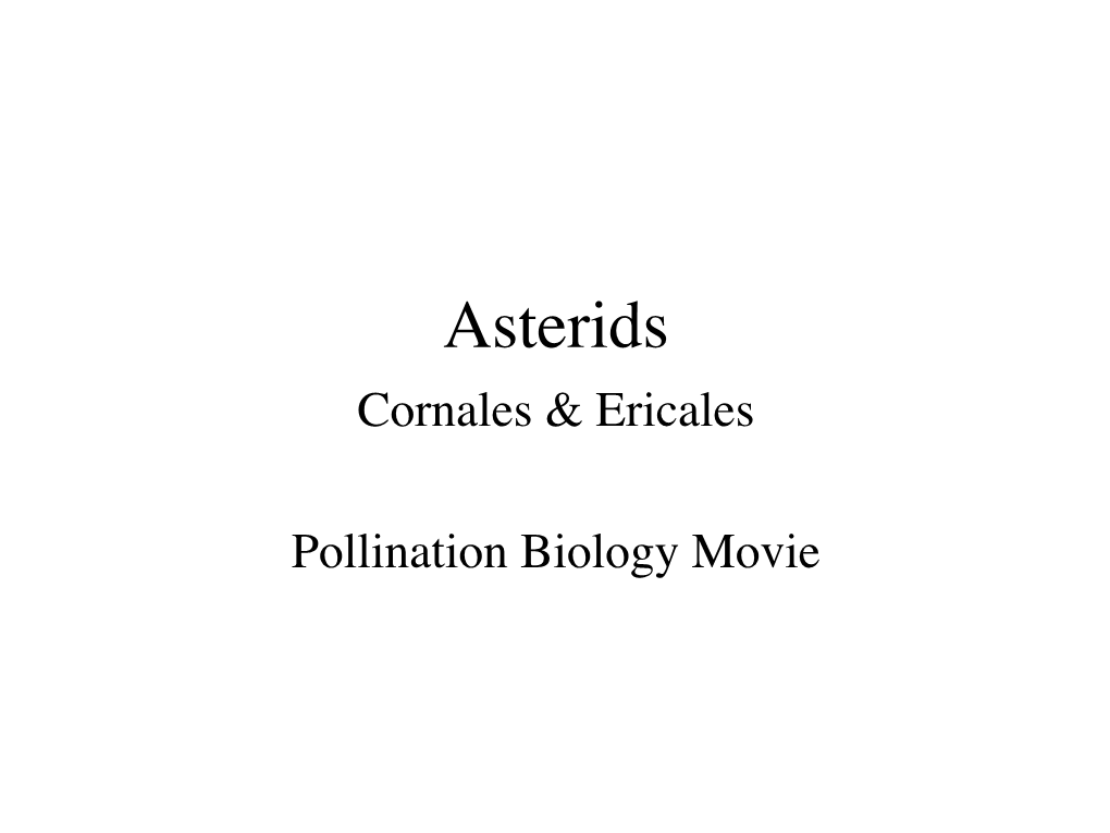 Asterids Cornales & Ericales