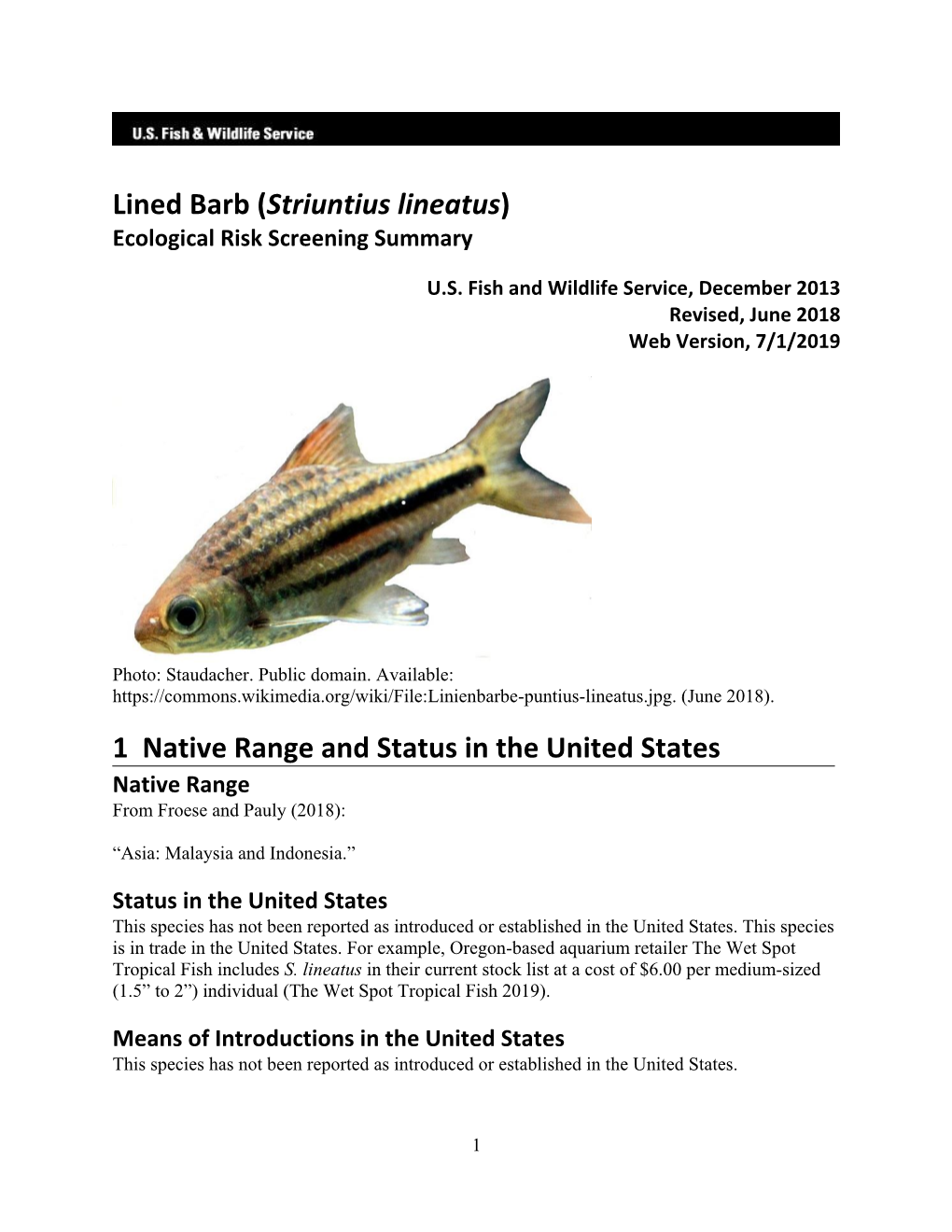 Striuntius Lineatus (Lined Barb) Ecological Risk Screening Summary