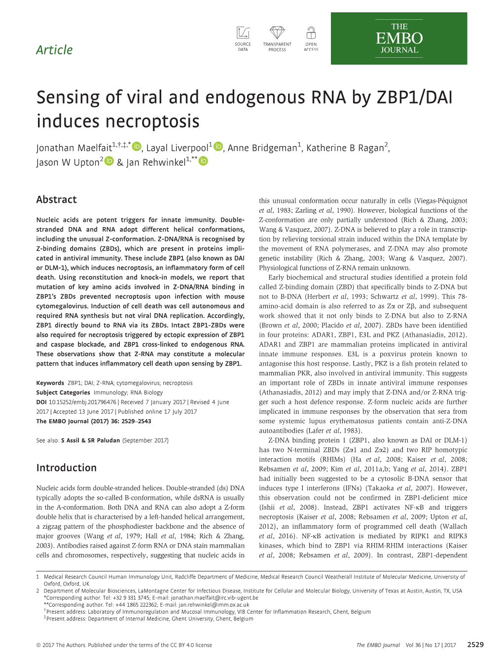 Sensing of Viral and Endogenous RNA by ZBP1&#X002f