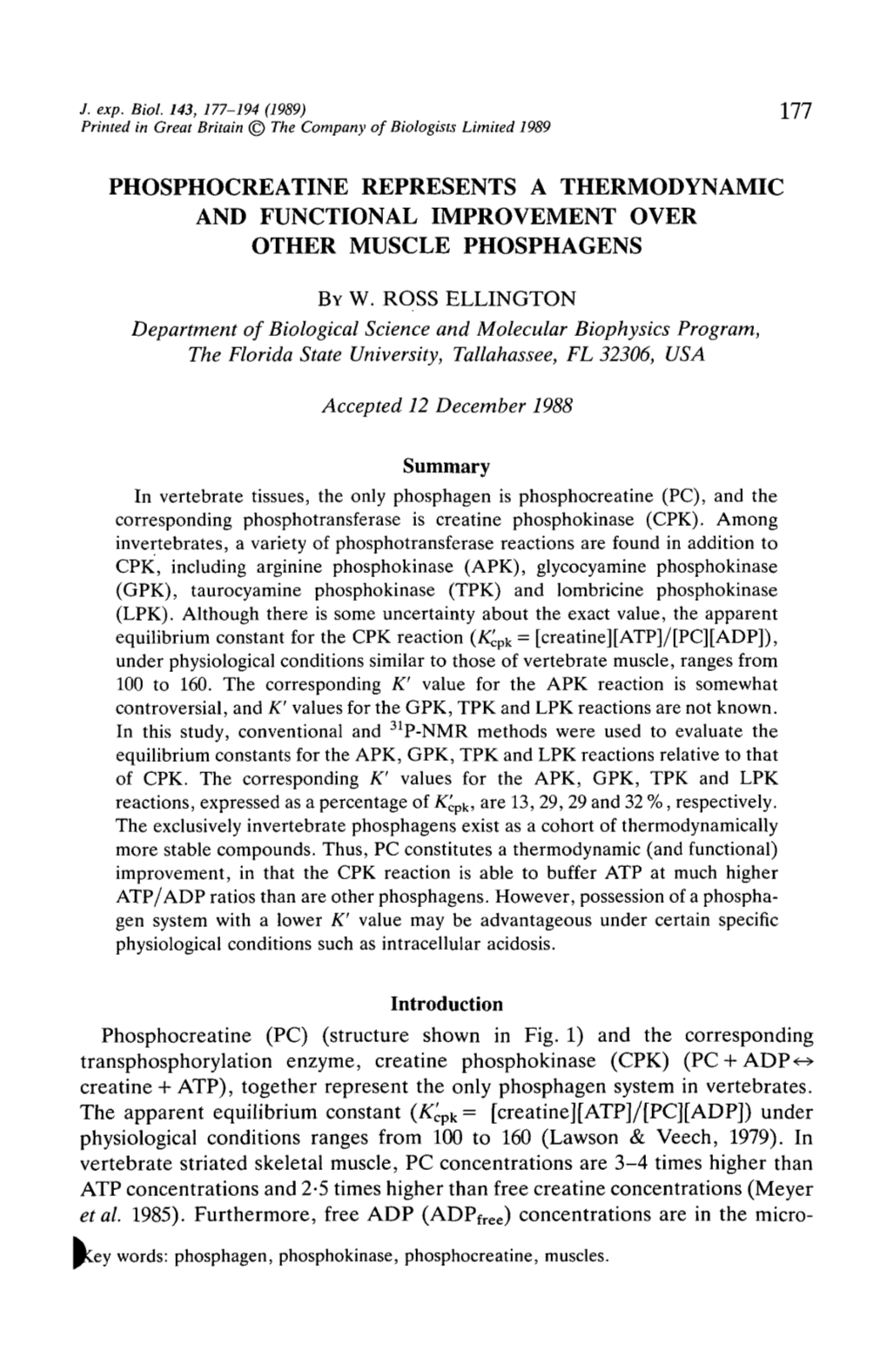 Phosphocreatine Represents a Thermodynamic and Functional Improvement Over Other Muscle Phosphagens