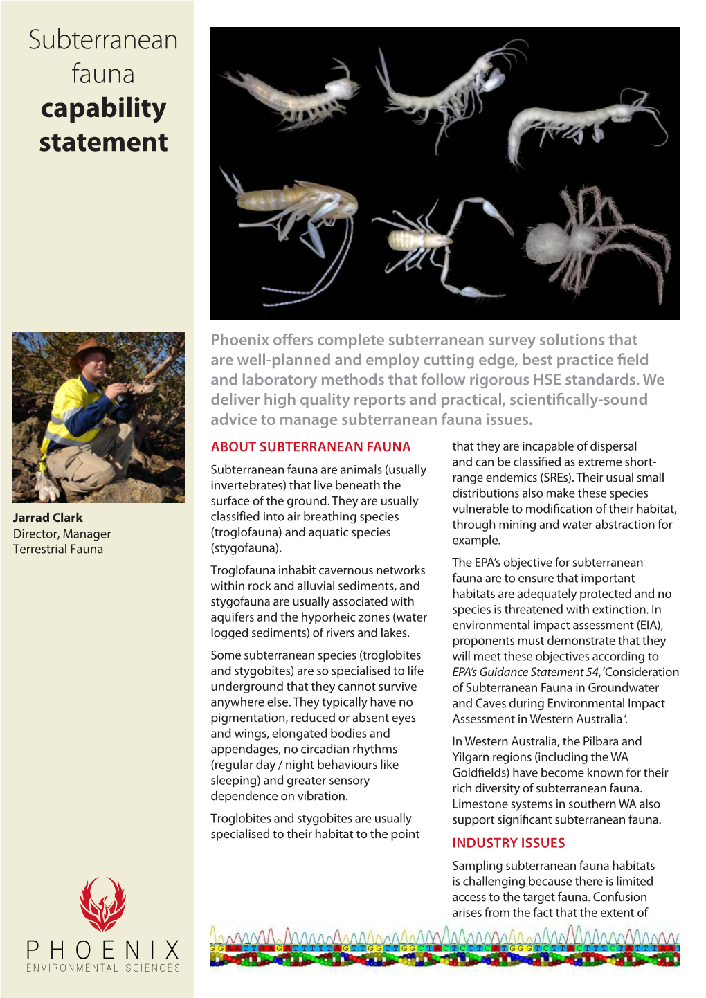 Download Our Subterranean Fauna Capability Statement