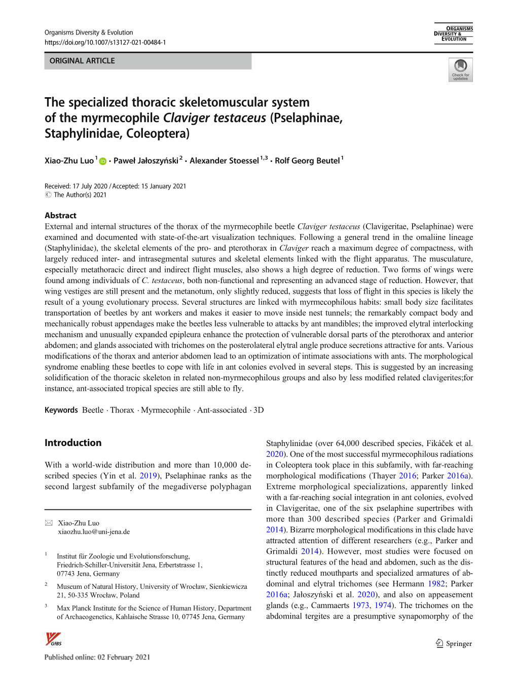 The Specialized Thoracic Skeletomuscular System of the Myrmecophile Claviger Testaceus (Pselaphinae, Staphylinidae, Coleoptera)