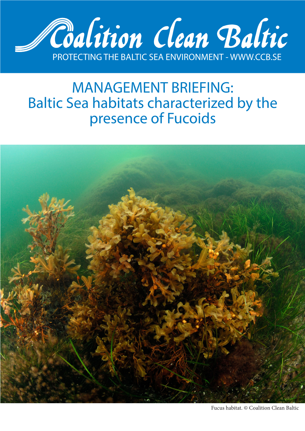 Baltic Sea Habitats Characterized by the Presence of Fucoids
