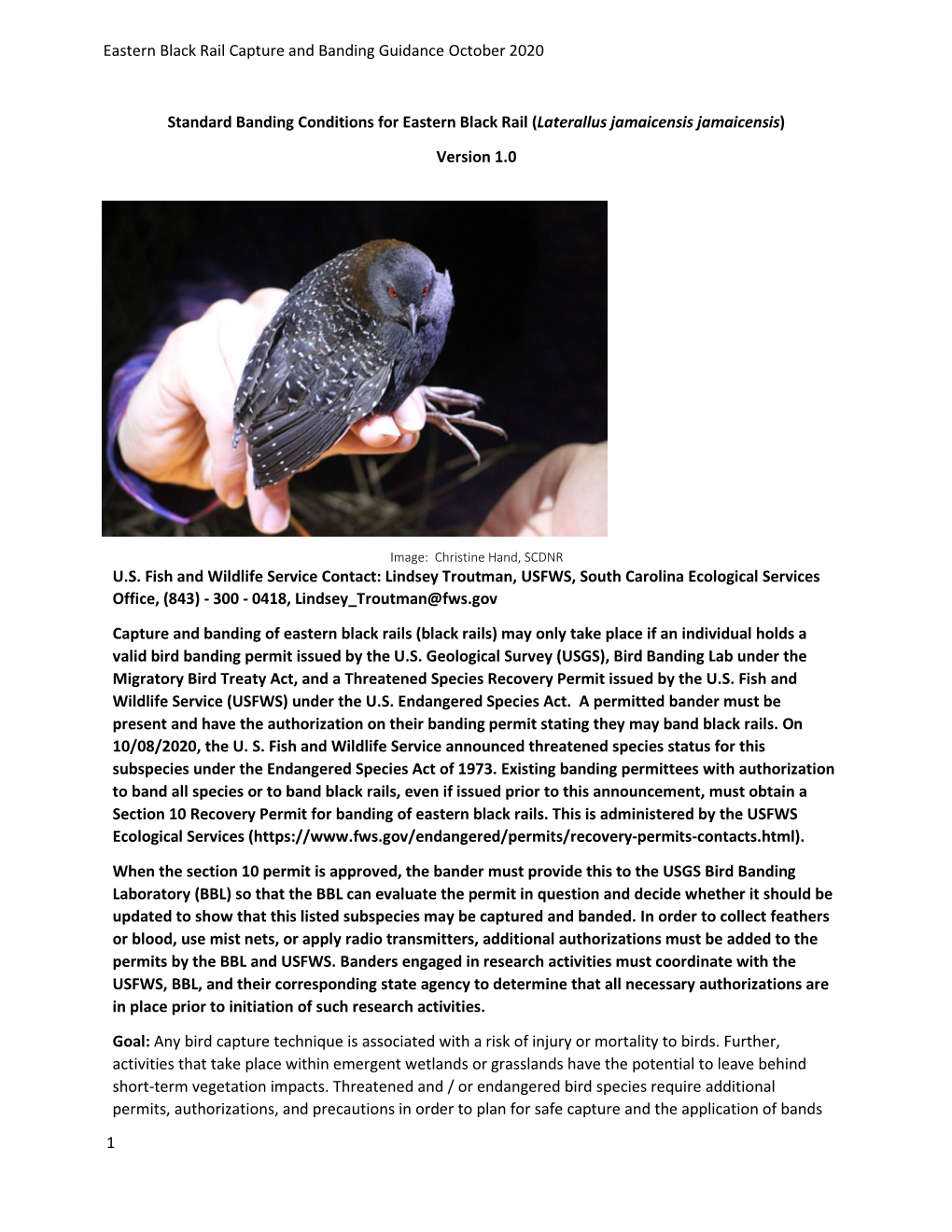 Eastern Black Rail Capture and Banding Guidance October 2020 1