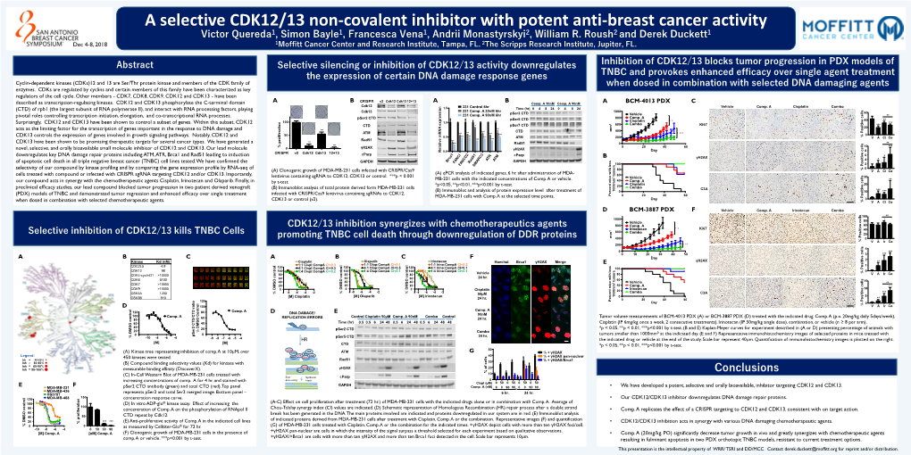 A Selective CDK12/13 Non-Covalent Inhibitor with Potent Anti-Breast Cancer Activity Victor Quereda1, Simon Bayle1, Francesca Vena1, Andrii Monastyrskyi2, William R