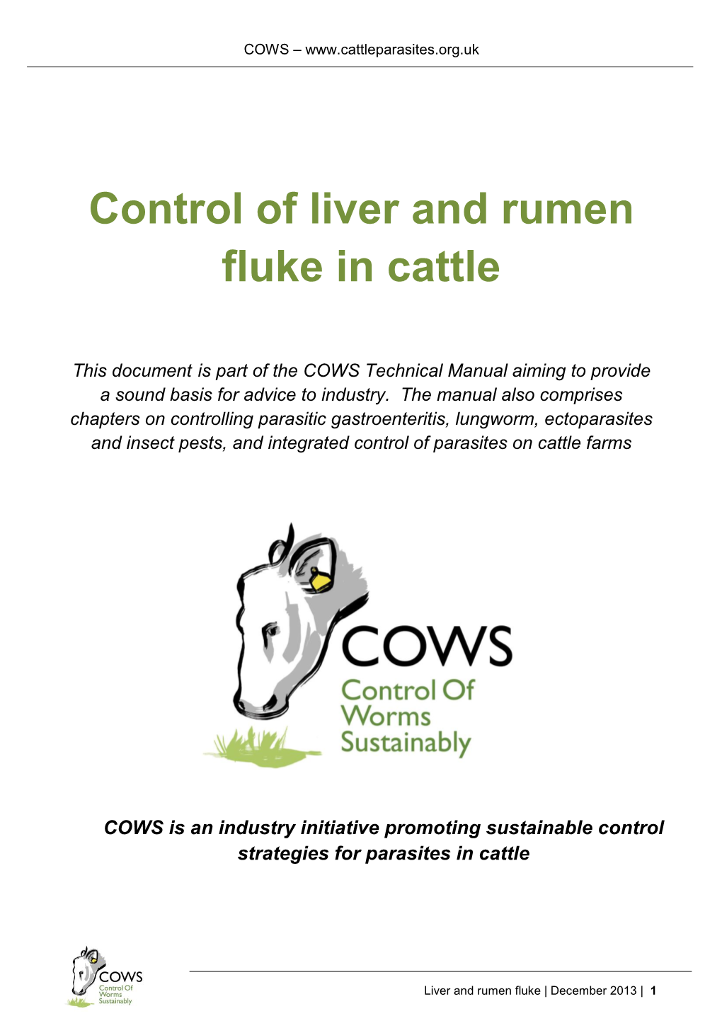 Control of Liver and Rumen Fluke in Cattle