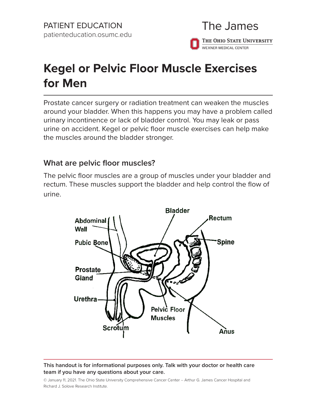 Kegel Or Pelvic Floor Muscle Exercises for Men