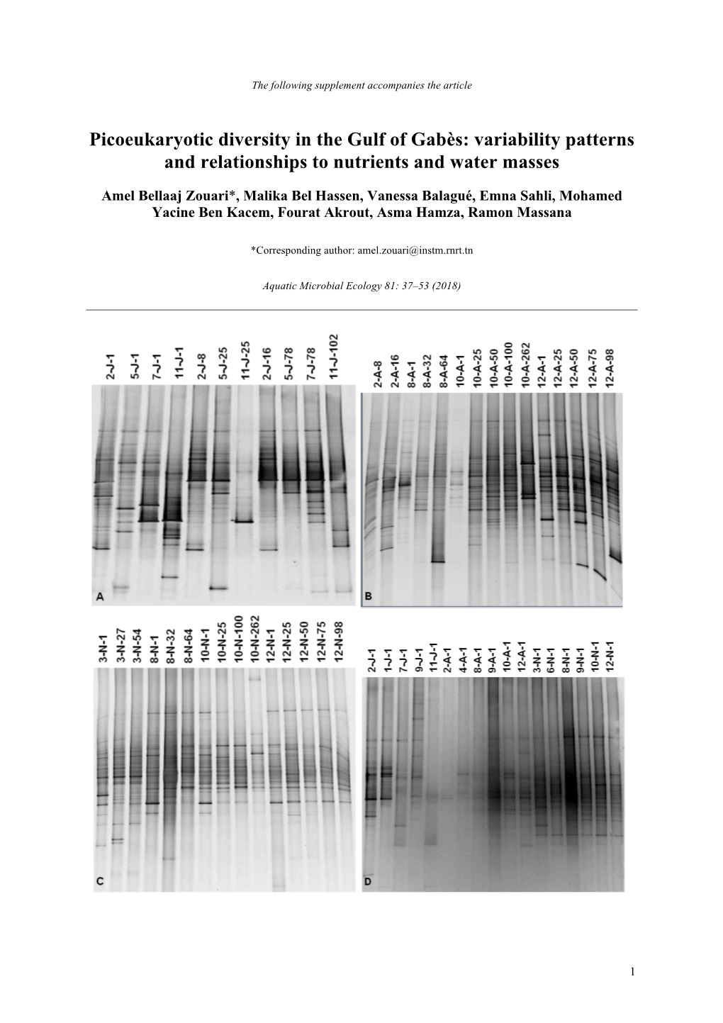 Picoeukaryotic Diversity in the Gulf of Gabès: Variability Patterns and Relationships to Nutrients and Water Masses