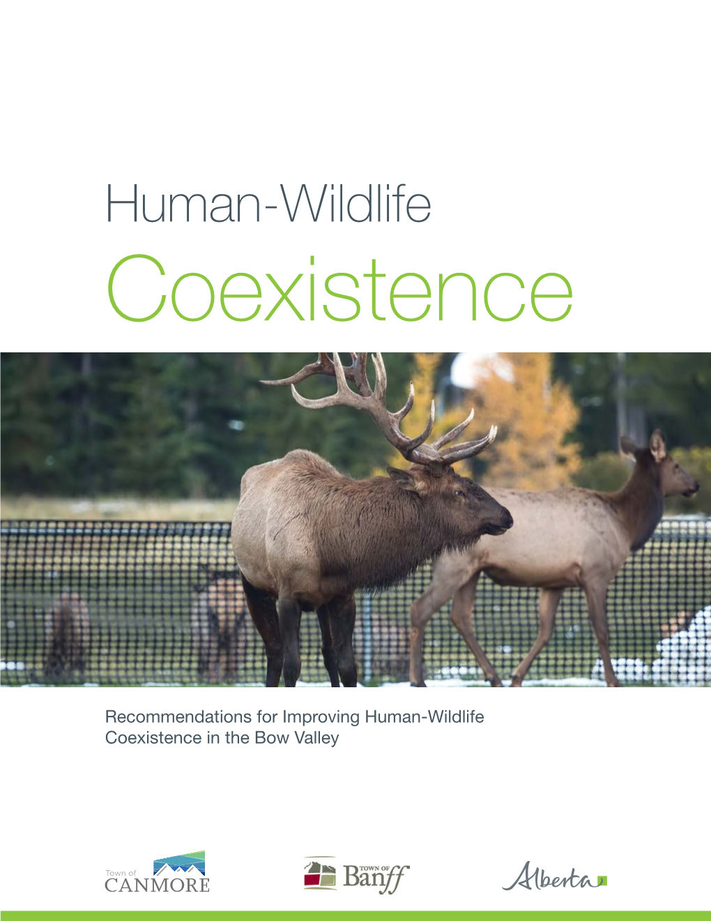 Human Wildlife Coexistence Bow Valley Report