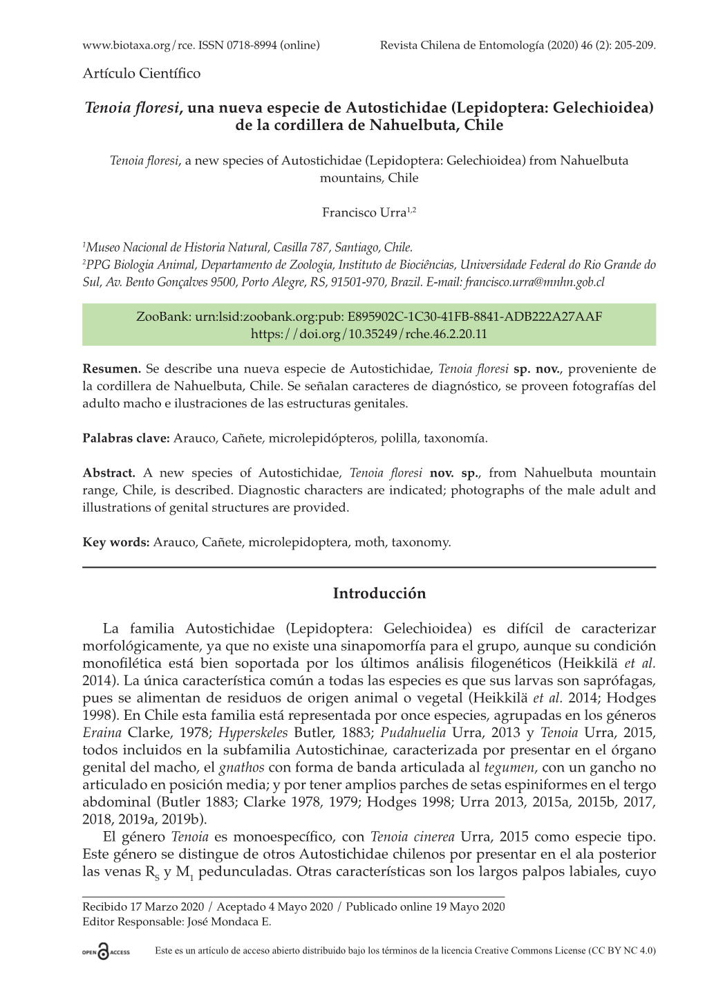 Tenoia Floresi, Una Nueva Especie De Autostichidae (Lepidoptera: Gelechioidea) De La Cordillera De Nahuelbuta, Chile