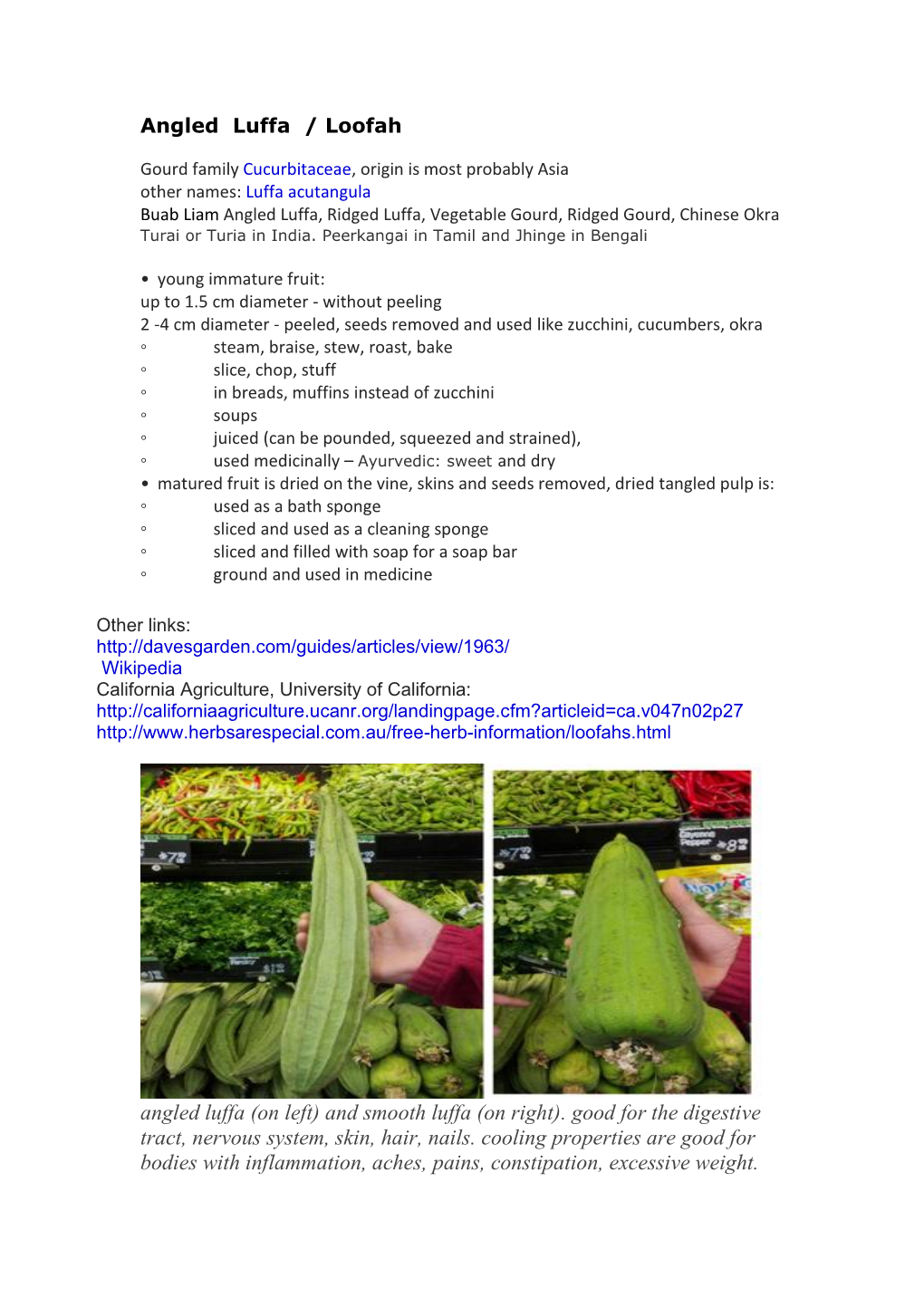 Angled Luffa Recipes