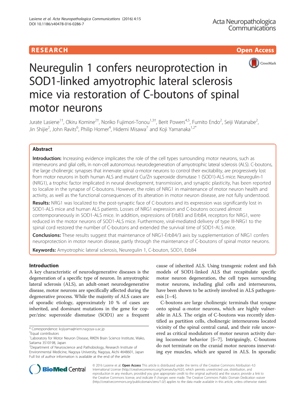 Neuregulin 1 Confers Neuroprotection in SOD1-Linked Amyotrophic Lateral