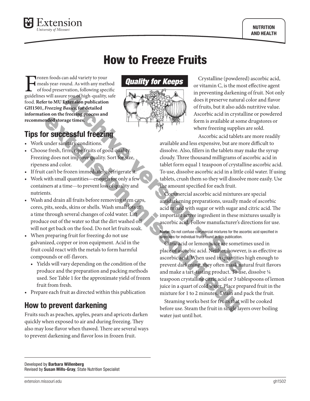 How to Freeze Fruits
