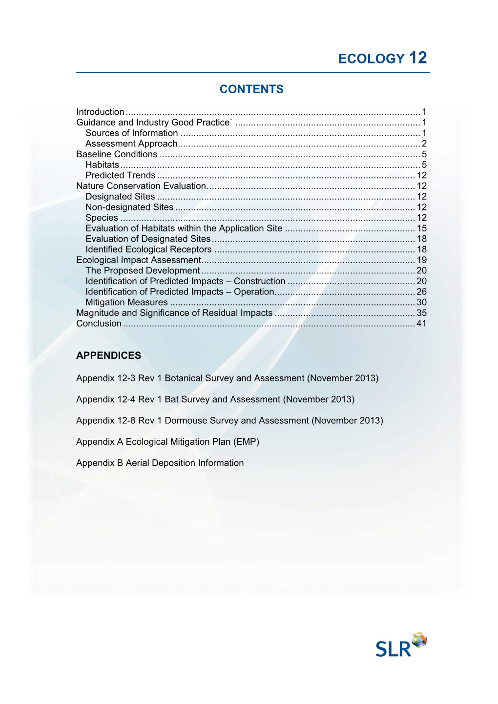 Environmental Statement Section Template