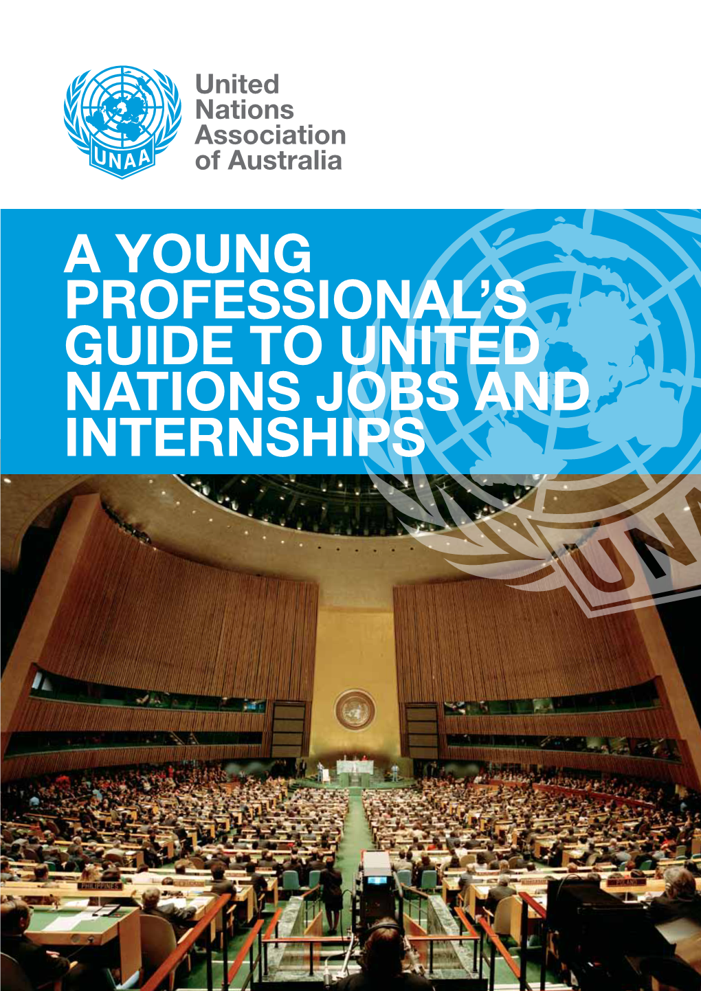 A Young Professional's Guide to United Nations Jobs And