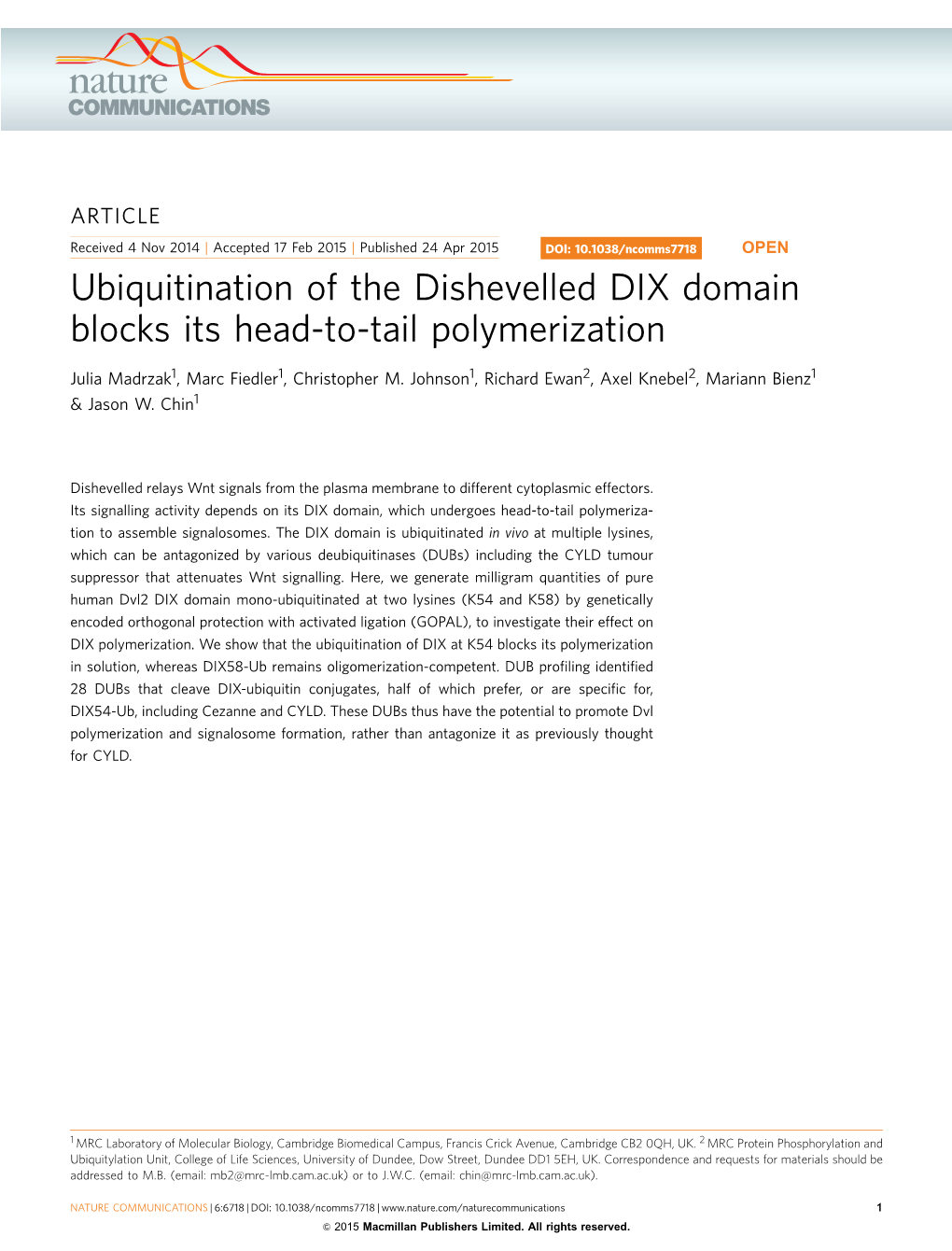 Ubiquitination of the Dishevelled DIX Domain Blocks Its Head-To-Tail Polymerization