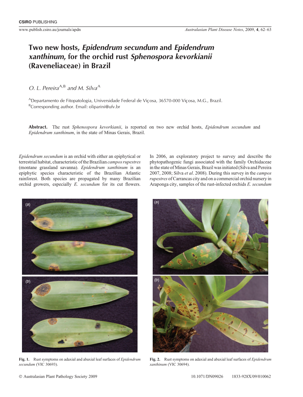 Two New Hosts, Epidendrum Secundum and Epidendrum Xanthinum, for the Orchid Rust Sphenospora Kevorkianii (Raveneliaceae) in Brazil