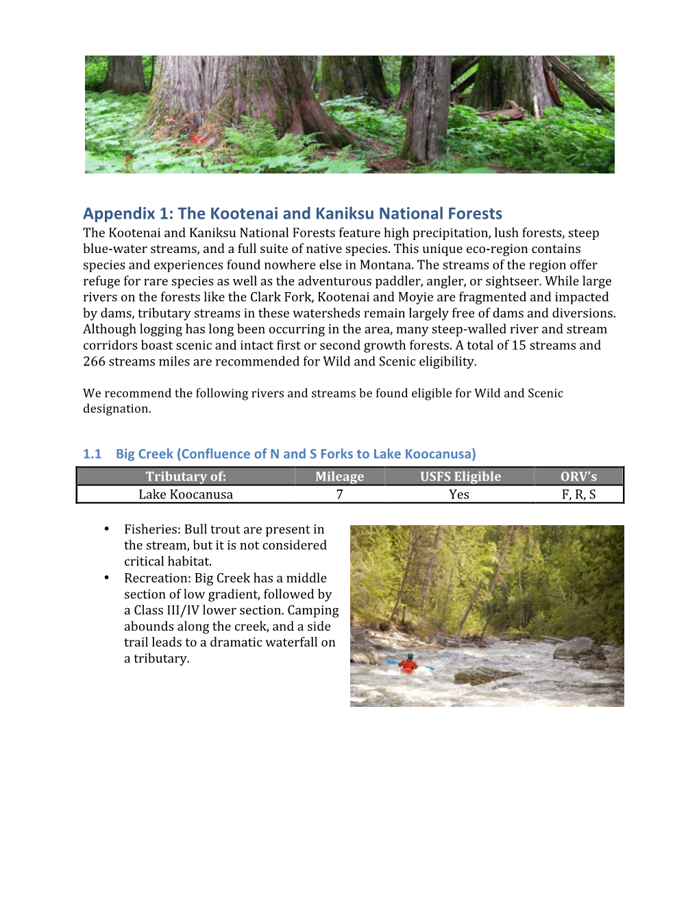 The Kootenai and Kaniksu National Forests