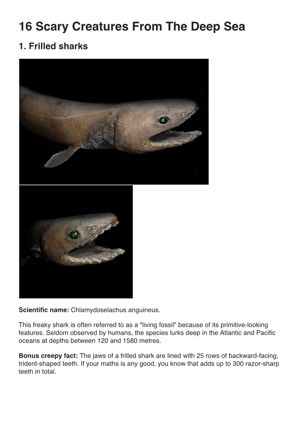 16 Scary Creatures from the Deep Sea 1