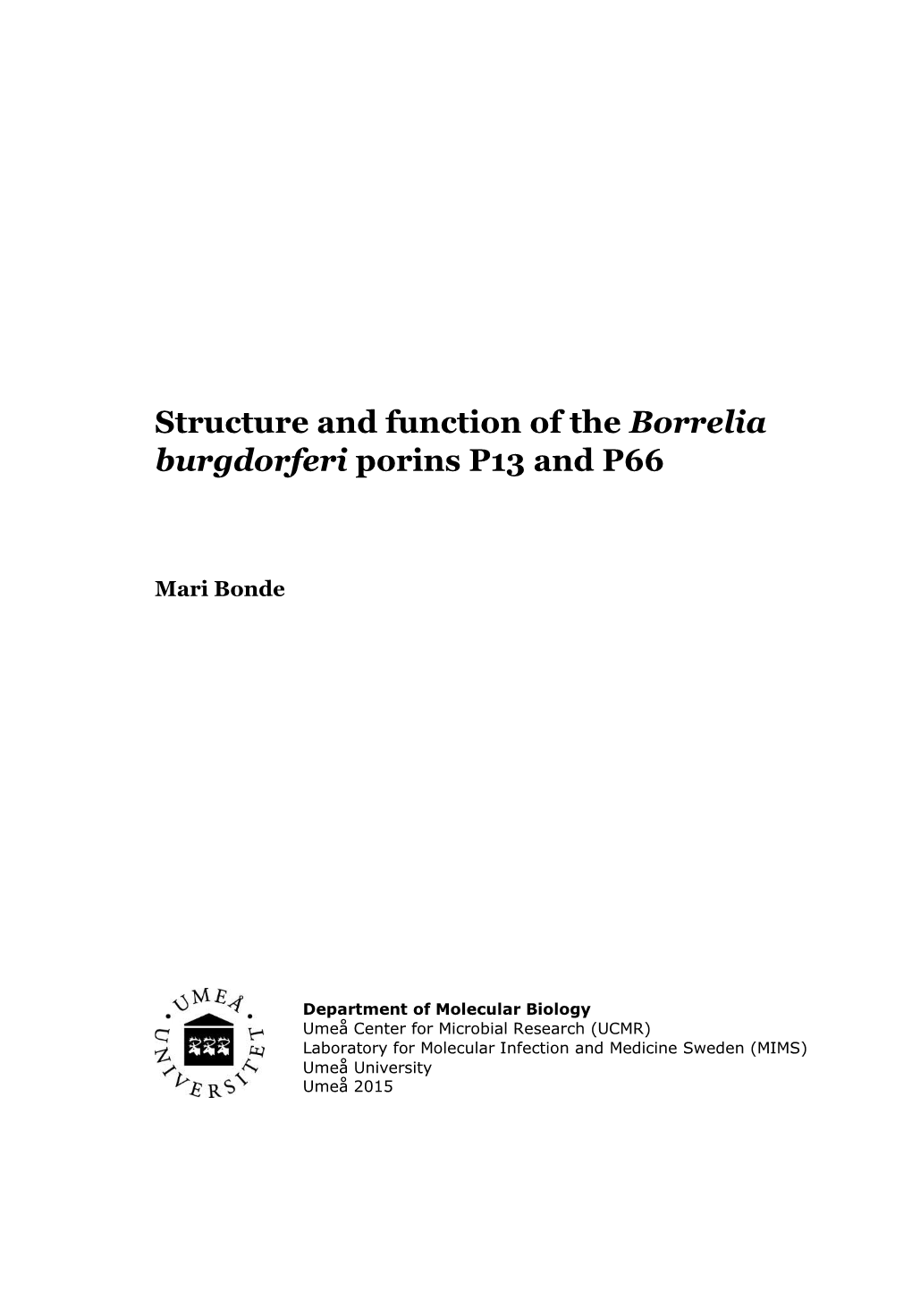Structure and Function of the Borrelia Burgdorferi Porins P13 and P66