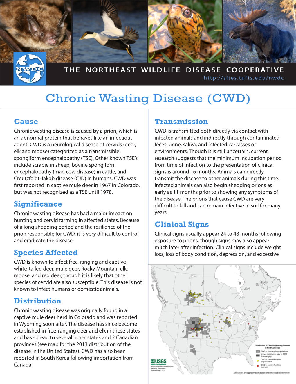 NWDC-Factsheet-Chronic Wasting Disease