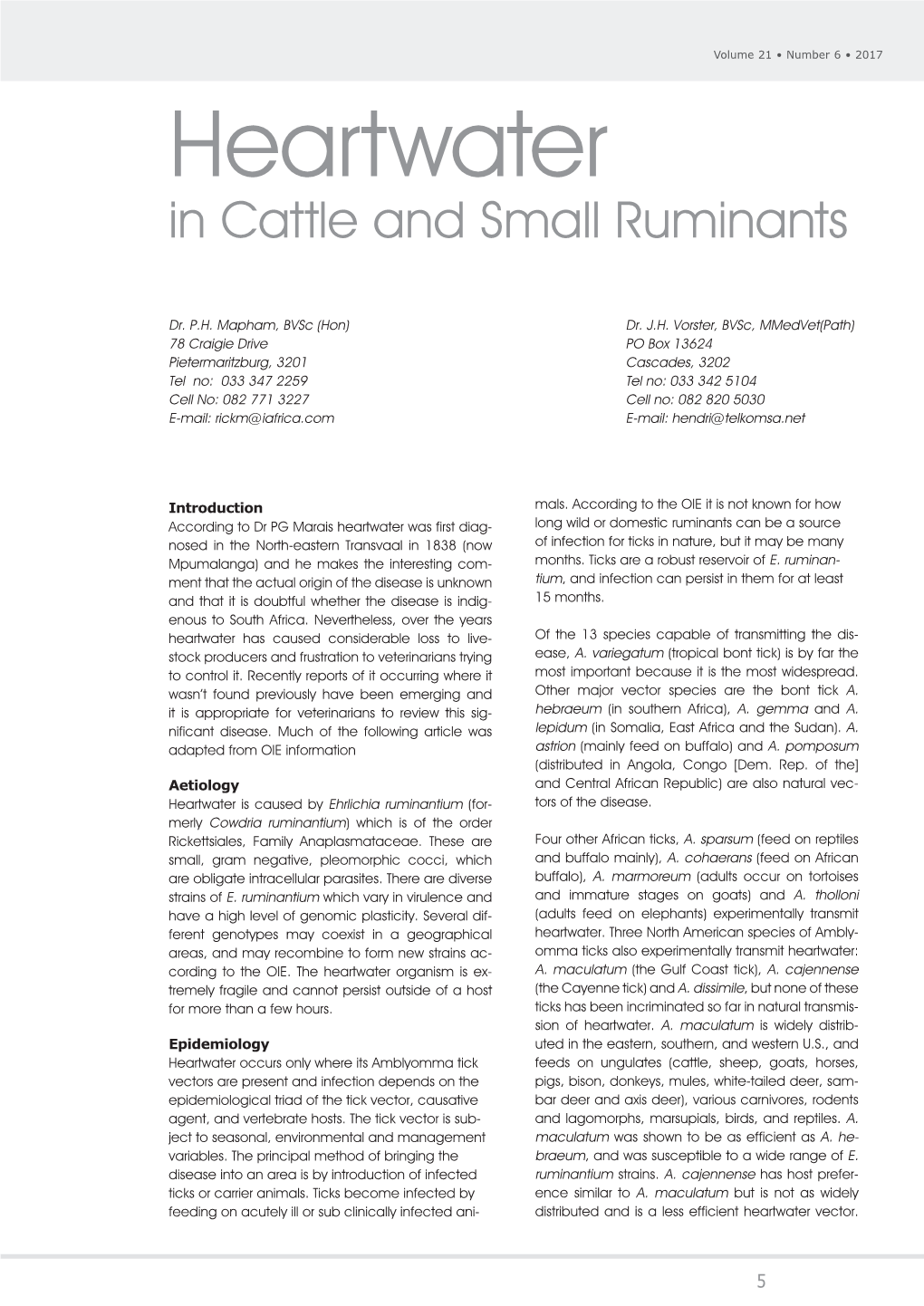 Heartwater in Cattle and Small Ruminants