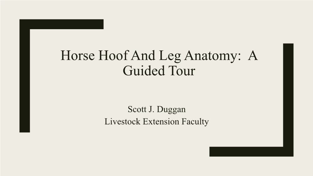 Horse Hoof and Leg Anatomy: a Guided Tour