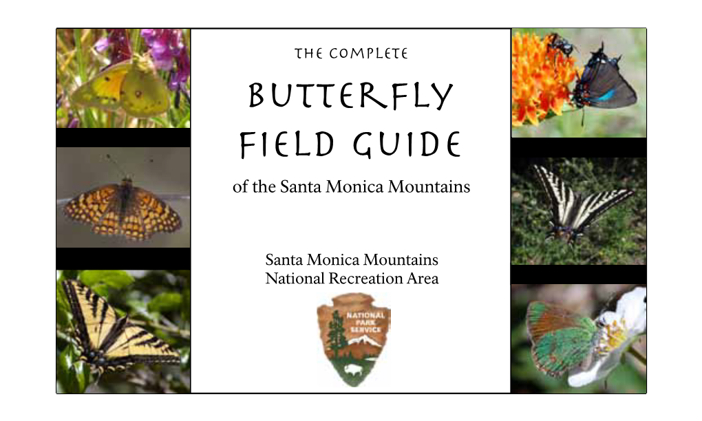 Butterfly Field Guide of the Santa Monica Mountains