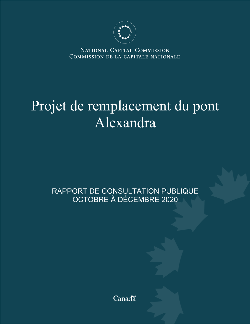 Projet De Remplacement Du Pont Alexandra