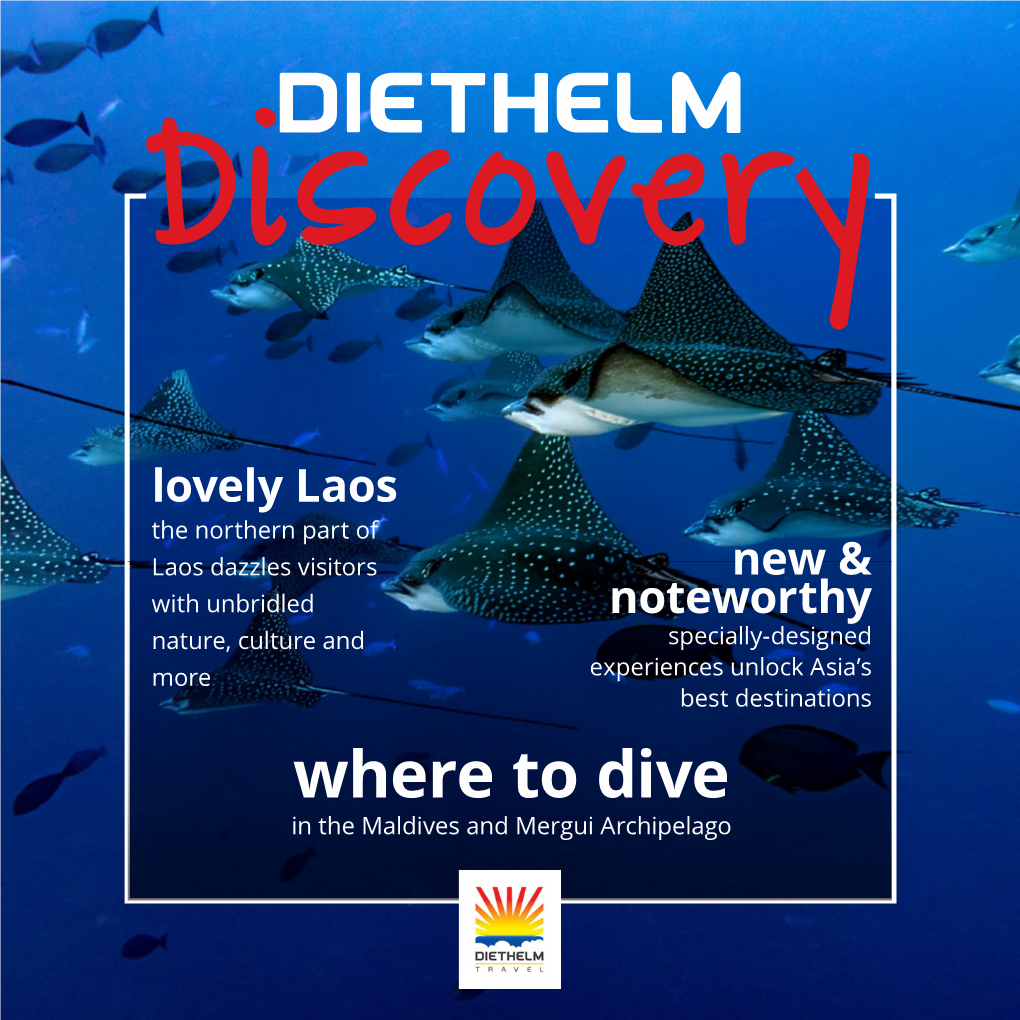 Where to Dive in the Maldives and Mergui Archipelago TRIED & TESTED Contents Issue 6 Foreword