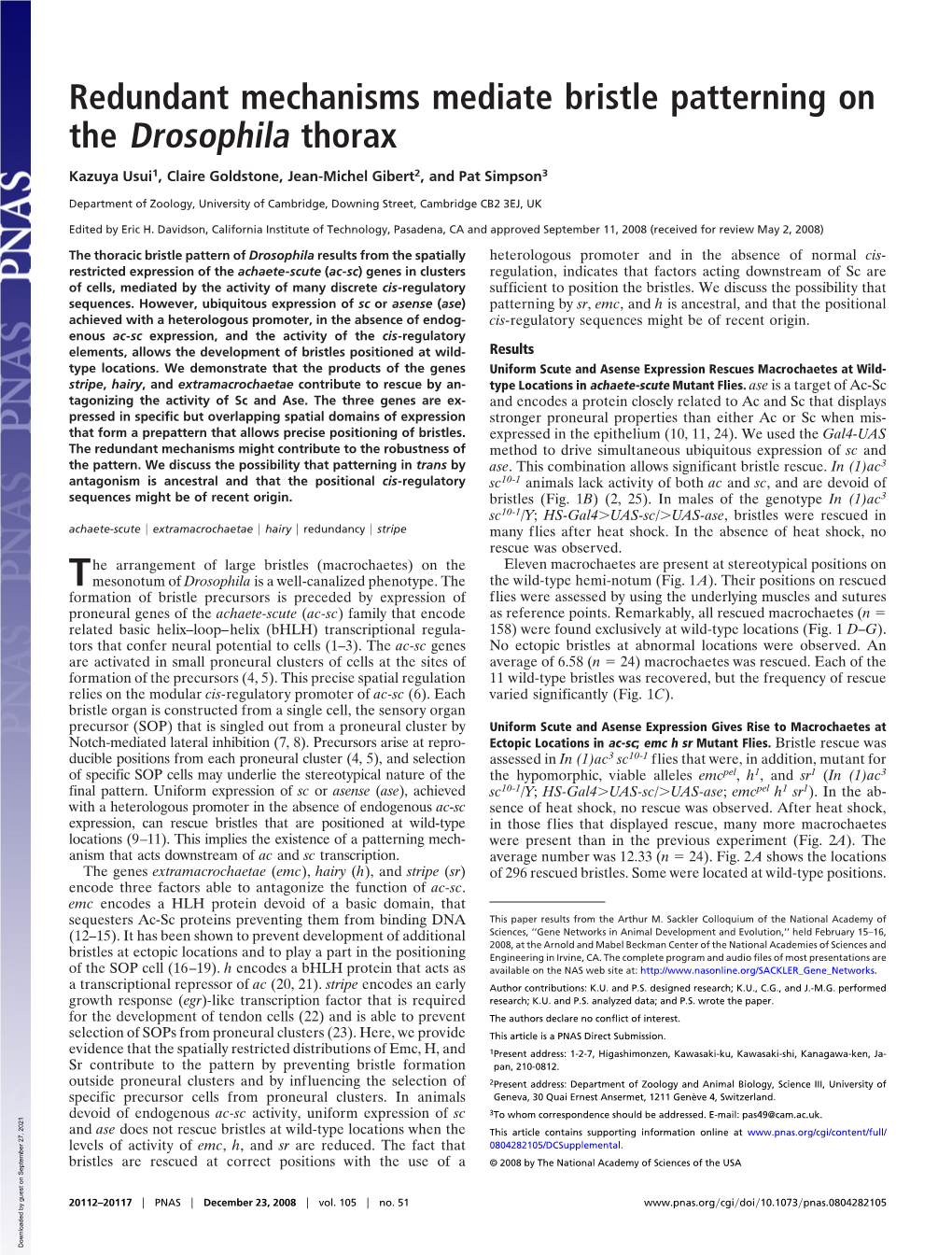 Redundant Mechanisms Mediate Bristle Patterning on the Drosophila Thorax