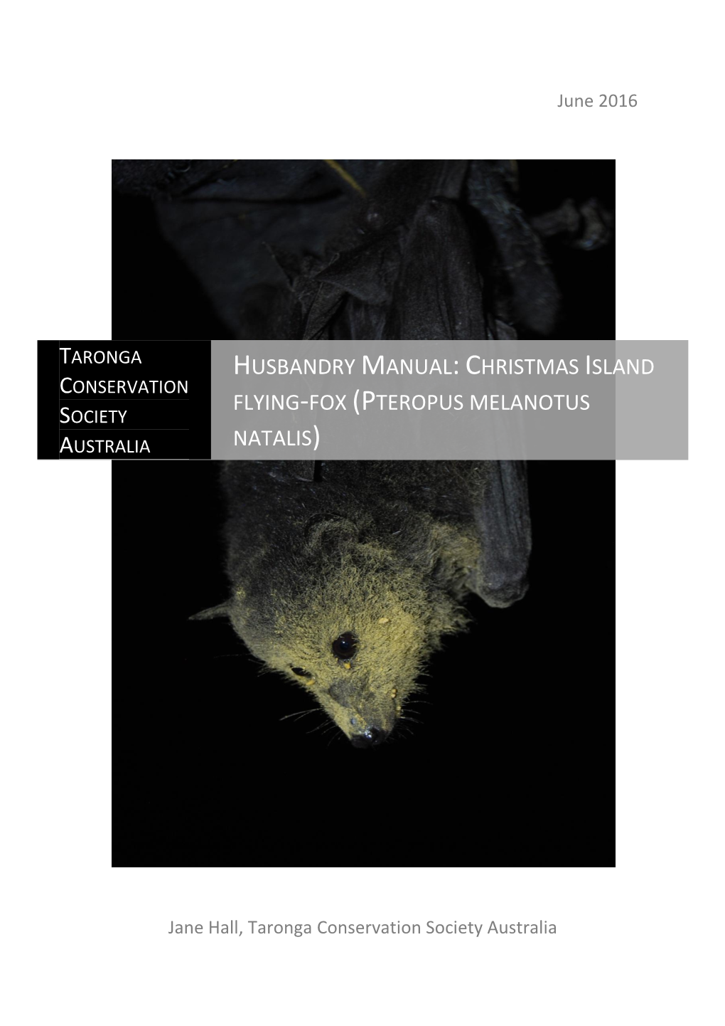 Husbandry Manual: Christmas Island Flying-Fox (Pteropus Melanotus Natalis).” Christmas Island Nation Park, Department of the Environment and Energy, Christmas Island