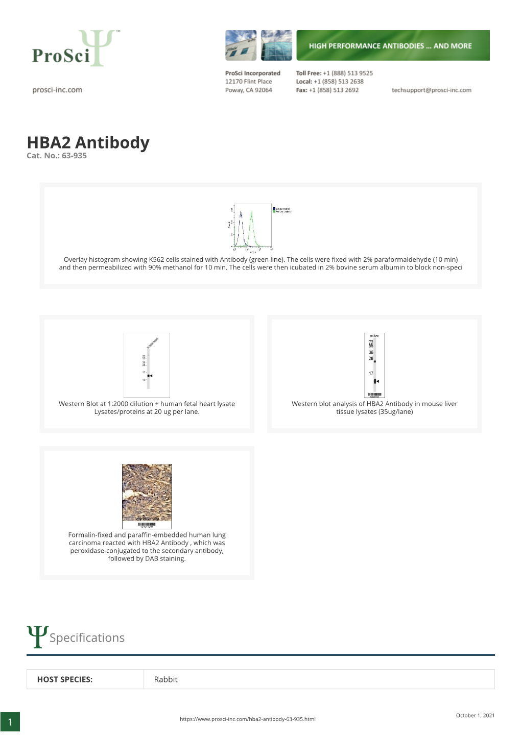 HBA2 Antibody Cat