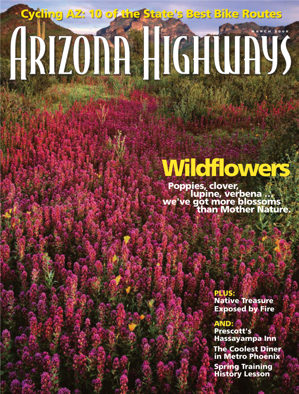 Wildflowers Poppies, Clover, Lupine, Verbena … We've Got More Blossoms Than Mother Nature