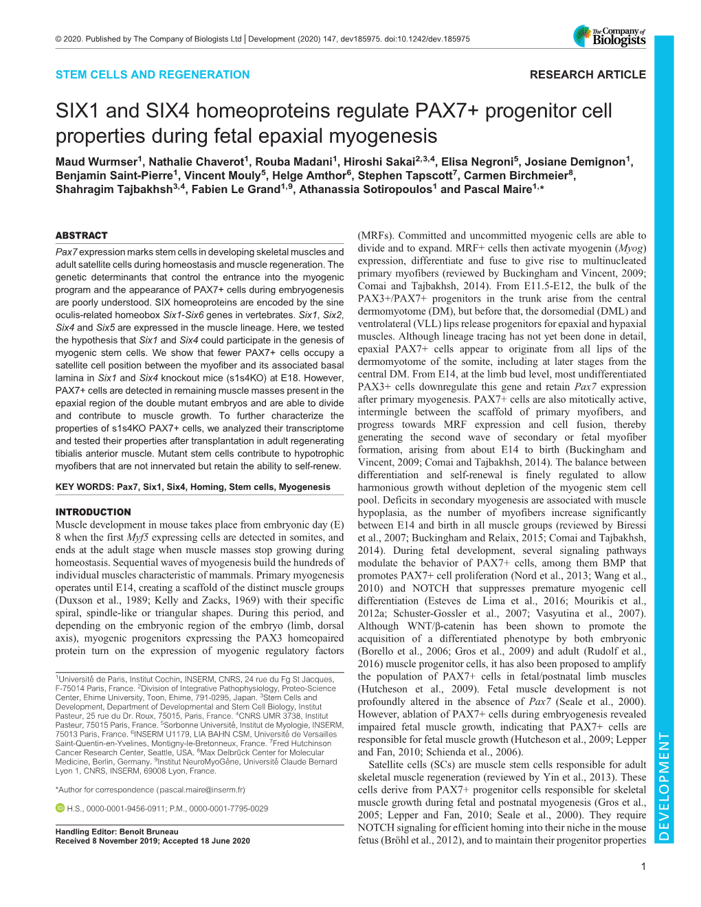 SIX1 and SIX4 Homeoproteins Regulate PAX7+ Progenitor Cell