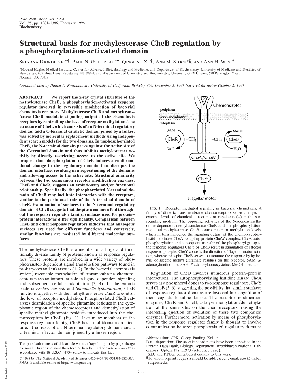 Structural Basis for Methylesterase Cheb Regulation by a Phosphorylation-Activated Domain